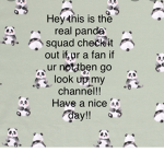#The official panda squad group!!!
