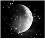 The Dark Side Of The Moon