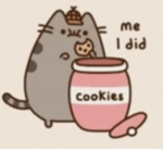 Big noobs cookies