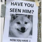 drink water pog