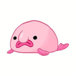 The BlobFish Community