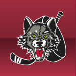 the boston hockey