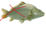 FISHYY HATE GROUP