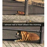 Lala la