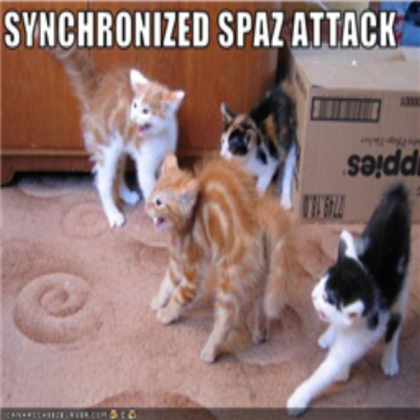 funny-pictures-cats-have-a-spaz-attack Roblox decal