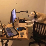 boy gamers only