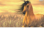 robux team horses