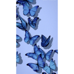 Butterfly blues!