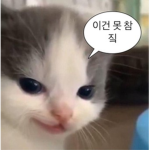 KON조직
