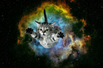 meowlaxy