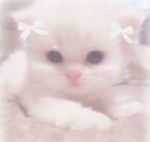 coffe coco <3