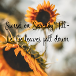 Sunset on Serenity Hill