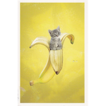 Banana Cat Fan Club!