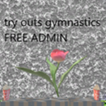 Dance classes and gymnastics