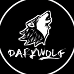 The DarkWolf squad