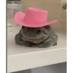 Froggy Clann
