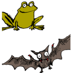 The Frog And Bat (The animal) Group