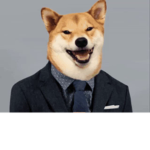 DogeSuit Studios