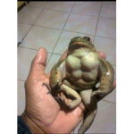 HEY POGCHAMP ;)