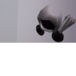 Rich Dominus