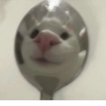 lämp