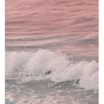 *candy cove*