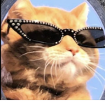 IsabellaLaYoutuber