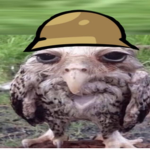 Silly bird uwu