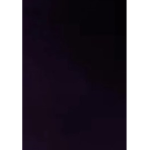 ninja is human