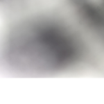 AAAAAAAAAAAAAUUU