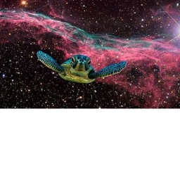 Official turtle group :D spaceship