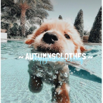 ~ Autumnsclothes ~
