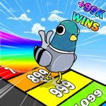 Pigeon Racers