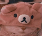 Cat gang $-$