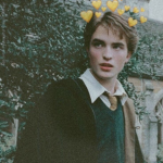 - • Harry Potter Fans • -