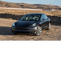 Tesla Driving (NEW)