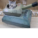 The cat army of new Mexico