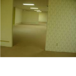 The Backrooms