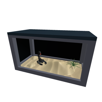 Scorpion Terrarium