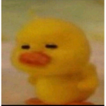 빙수크루