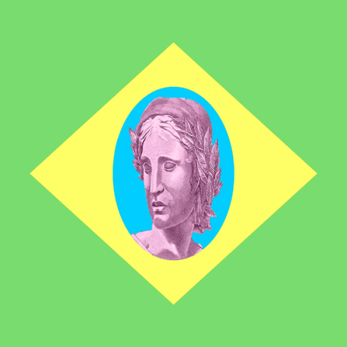 Vaporwave Brazil Roblox decal