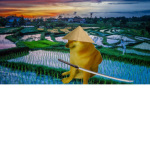 Rice Farmers 002