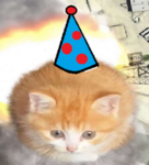 Silly Cat's Fun Place