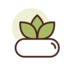 Https...yoni.webCOM