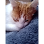 Bootsie123