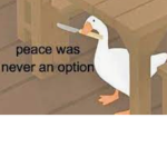 The ordinary Duck clan