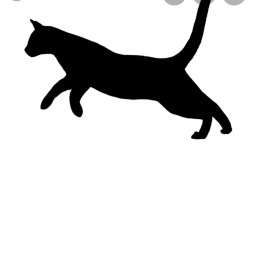 Cat run