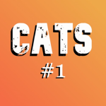 The Almighty Cat Army!