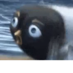 zzzzzzzzzzzzzzzzzzzzxxx