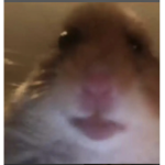 Jonelistheman